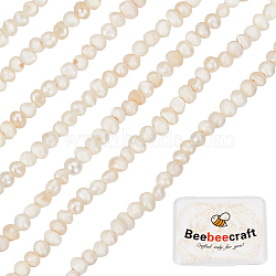 2 Strands Natural Cultured Freshwater Pearl Beads Strands, Potato, Seashell Color, 1.5~2x1.5~3x1.5~2mm, Hole: 0.5mm, about 142pcs/strand, 13.78 inch(35cm)(PEAR-BBC0001-18)