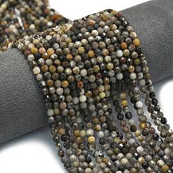 Natural Larvikite Beads Strands, Energy Prism Cut Double Terminated Point Beads, Faceted Bicone, 4x4.5mm, Hole: 0.4mm, about 83pcs/strand, 14.96 inch(38cm)(G-A260-A23-01)