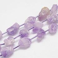 Natural Amethyst Bead Strands, Nuggets, 9~17x10~13x8~18mm, Hole: 1.2mm, about 22pcs/strand, 15.7 inch(400mm)(G-G937-M-03)