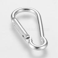 Aluminum Rock Climbing Carabiners, Key Clasps, with Iron Findings, Silver, 48~48.5x22.5~23x6mm(IFIN-T003-B05)