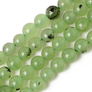 Natural Chalcedony Beads Strands, Dyed & Heated, Imitation Prehnite Color, Round, Yellow Green, 6~6.5mm, Hole: 1mm, about 64pcs/Strand, 15.16 inch(38.5cm)(X-G-T129-06-6mm)