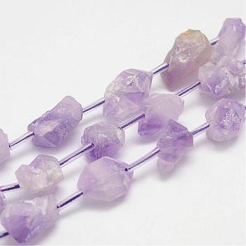 Natural Amethyst Bead Strands, Nuggets, 9~17x10~13x8~18mm, Hole: 1.2mm, about 22pcs/strand, 15.7 inch(400mm)
