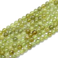 Natural Green Garnet Beads Strands, Round, Alice Blue, 6mm, Hole: 0.8mm, about 60pcs/Strand, 14.96 inch(38cm)(G-K310-C17-6mm)