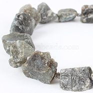 Natural Gemstone Labradorite Rough Nuggets Bead Strands, 13~40x10~26x10~23mm, Hole: 2mm, about 14~19pcs/strand, 16.54 inch(G-E219-03)