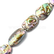 Natural Paua Shell Beads Strands, Nuggets, 13.5~21x9~12.5x2~5mm, Hole: 0.5mm, about 22pcs/strand, 16.54 inch(42cm)(SHEL-F006-03)