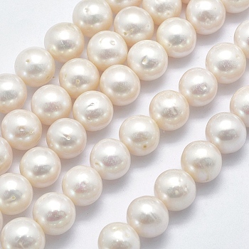 Natural Cultured Freshwater Pearl Beads Strands, Round, Beige, 11~12mm, Hole: 0.8mm, about 38pcs/strand, 15.3 inch