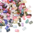 Glass 2-Hole Baking Paint Glass Seed Beads, Rectangle, Mixed Color, 5x2.5x2mm, Hole: 0.8mm, about 200pcs/bag(GLAA-G130-01F)