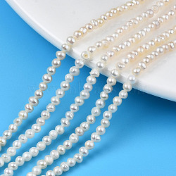 Natural Cultured Freshwater Pearl Beads Strands, Potato, Seashell Color, 2.5~3.5mm, Hole: 0.6mm, about 127~130pcs/strand, 13.78 inch(35cm)(PEAR-N013-02D)