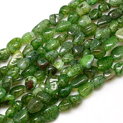 Nuggets Natural Crackle Agate Beads Strands, Dyed & Heated, Lime Green, 8~16x8~12x6~10mm, Hole: 1mm, about 30~40pcs/strand, 15~16 inch(G-P031-03)