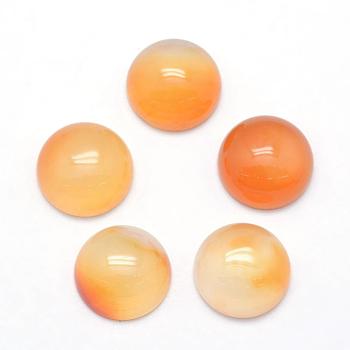 Natural Light Salmon Agate Cabochons, Half Round, 12x5~6mm
