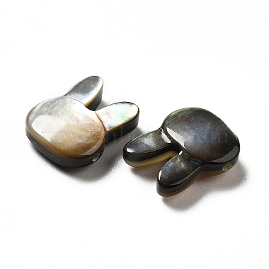 Natural Black Lip Shell Beads(SHEL-G014-06B)-4