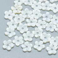 Freshwater Shell Beads, Flower, Seashell Color, 6x6x1mm, Hole: 1mm(SHEL-S275-010)