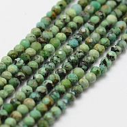 Natural Turquoise Bead Strands, Faceted, Round, 2mm, Hole: 0.5mm, about 160~179pcs/strand, 12.5 inch~12.9  inch(320~330mm)(G-P270-2mm-18)