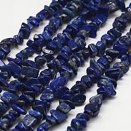 Natural Lapis Lazuli Beads Strands, Chip, Grade B, Royal Blue, 3~5x7~13x2~4mm, Hole: 0.4mm, 34.9 inch(G-F328-15-B)