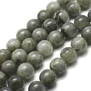 Natural Labradorite Bead Strands, Round, 6mm, Hole: 1mm, about 61pcs/strand, 15 inch(G-P256-01-6mm)