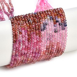 Natural Colorful Spinel Beads Strands, Faceted, Round, 2mm, Hole: 0.5mm, about 184pcs/strand, 15.75''(40cm)(G-P553-G03-01)