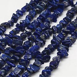 Natural Lapis Lazuli Beads Strands, Chip, Grade B, Royal Blue, 3~5x7~13x2~4mm, Hole: 0.4mm, 80~81cm(G-F328-15-B)