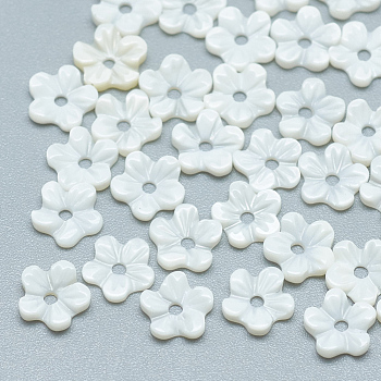Freshwater Shell Beads, Flower, Seashell Color, 6x6x1mm, Hole: 1mm