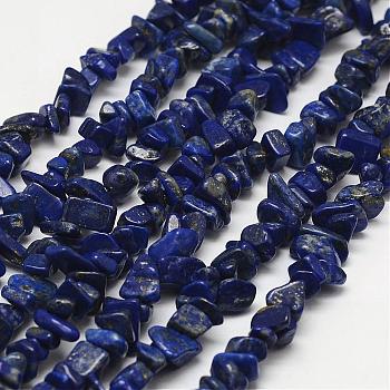 Natural Lapis Lazuli Beads Strands, Chip, Grade B, Royal Blue, 3~5x7~13x2~4mm, Hole: 0.4mm, 34.9 inch