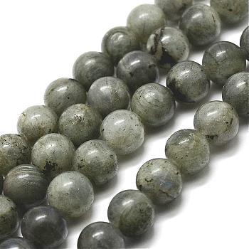Natural Labradorite Bead Strands, Round, 6mm, Hole: 1mm, about 61pcs/strand, 15 inch