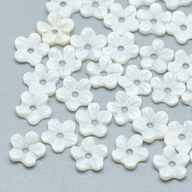 6mm Seashell Flower Freshwater Shell Beads
