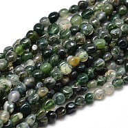 Natural Moss Agate Nuggets Beads Strands, Tumbled Stone, 5~10x6~7x3~7mm, hole: 1mm, about 14.9 inch~15.7 inch(X-G-J335-06)