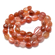 Natural South Red Agate Beads Strands, Tumbled Stone, Nuggets, 8~13x7~8x5~6mm, Hole: 0.6mm, about 43pcs/Strand, 15.75 inch(40cm)(X-G-O186-B-15)