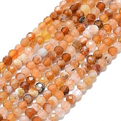 Natural Fire Opal Beads Strands, Faceted, Round, 2~2.5mm, Hole: 0.5mm, about 192~196pcs/strand, 14.92~15.16 inch(37.9~38.5cm)(G-G106-C03-01)