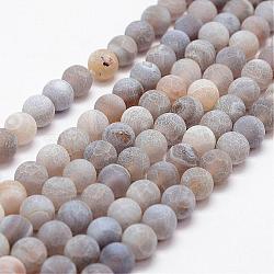 Frosted Natural Weathered Agate Beads Strands, Round, Dyed & Heated, Light Grey, 8mm, Hole: 1mm, about 48pcs/strand, 15.2 inch(G-F374-8mm-02)