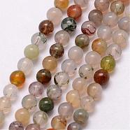 Natural Indian Agate Bead Strands, Round, 3~3.5mm, Hole: 0.7mm, about 115~125pcs/strand, 16 inch(G-K146-62-3mm)