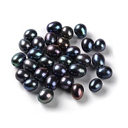 Dyed Natural Cultured Freshwater Pearl Beads, Half Drilled, Rice, Grade 5A+, Black, 9.5~11x7.5~9mm, Hole: 0.9mm(PEAR-E020-11)