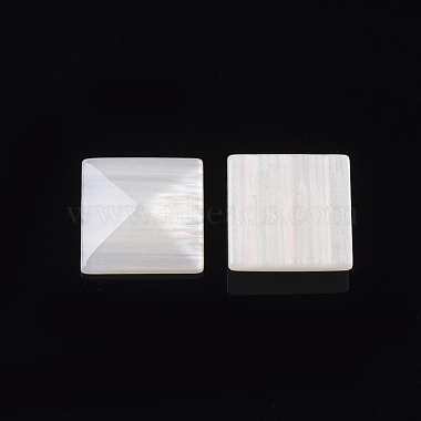 Cabuchones de resina(X-RESI-T039-033B)-2