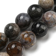 Natural Dendritic Jasper Beads Strands, Chohua Jasper, Round, 10mm, Hole: 1mm, about 37pcs/strand, 15.12~15.20''(38.4~38.6cm)(G-R494-A23-04)
