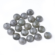 Natural Labradorite Cabochons, Half Round, 12x5mm(G-E394-01)