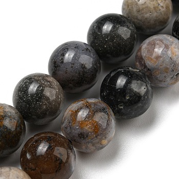 Natural Dendritic Jasper Beads Strands, Chohua Jasper, Round, 10mm, Hole: 1mm, about 37pcs/strand, 15.12~15.20''(38.4~38.6cm)