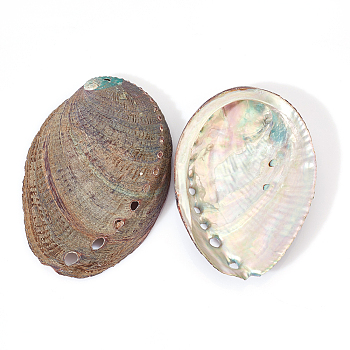 Natural Abalone Shell Display Decoration, for Fish Tank Landscaping Decoration, 109~117x77~83x18~21mm