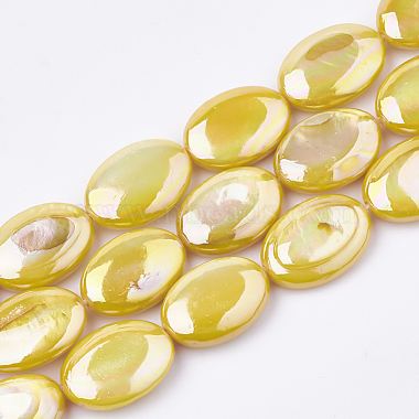 Gold Oval Freshwater Shell Beads