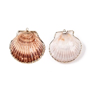 Natural Scallop Shell Pendants, Shell Shaped Charms with Golden Tone Iron Loops, Saddle Brown, 34~51x34~52x8~12mm, Hole: 1~1.8mm(SSHEL-N038-17)