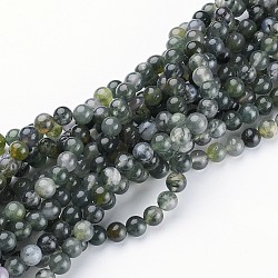 Natural Moss Agate Beads Strands, Round, about 6mm in diameter,  hole: 0.8mm, about 59pcs/strands, 15~16 inch(X-GSR6mmC001)