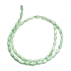 eau douce naturelle de coquillage perles brins(SHEL-C010-01A)-3