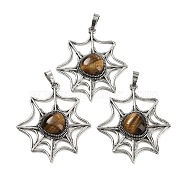 Natural Tiger Eye Spider Web Pendants, Rack Plating Antique Silver Plated Brass Halloween Net Charms, Cadmium Free & Lead Free, 44.5x37.5x7mm, Hole: 7.5x5mm(G-Q163-09AS-04)