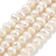 Natural Cultured Freshwater Pearl Beads Strands, Potato, PapayaWhip, 5~5.5mm, Hole: 0.6mm, about 37~38pcs/strand, 6.81~7.09 inch(17.3~18cm)(PEAR-C003-27)