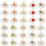 30Pcs Natural Shell & Imitation Pearl Pendants, Shell Shape Charms with Iron Loops, Mixed Color, Golden, 20.5~23x24~26x8.5~9mm, Hole: 2mm(PALLOY-SC0004-42)