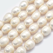 Natural Cultured Freshwater Pearl Beads Strands, Oval, Beige, 11~17x9~10mm, Hole: 0.8mm, about 31pcs/strand, 14.17 inch(PEAR-I003-02)