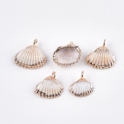 Electroplate Sea Shell Pendants, with Iron Findings, Light Gold, Seashell Color, 14~16x13~16x5~6mm, Hole: 1mm(X-SSHEL-T006-01)