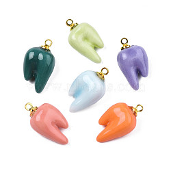 Handmade Porcelain Pendants, with Golden Plated Brass Findings, Tooth, Mixed Color, 19~21x12x8.5mm, Hole: 1.5mm(PORC-T006-51)
