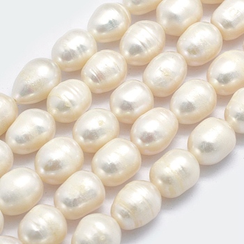 Natural Cultured Freshwater Pearl Beads Strands, Oval, Beige, 11~17x9~10mm, Hole: 0.8mm, about 31pcs/strand, 14.17 inch