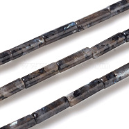Natural Larvikite Beads Strands, Column, 13~14x4mm, Hole: 1mm, about 30pcs/strand, 15.9 inch(40.5cm)(G-F247-23)