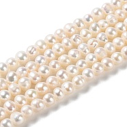 Natural Cultured Freshwater Pearl Beads Strands, Potato, Grade 3A, PapayaWhip, 4~5.5x4~5mm, Hole: 0.6mm, about 77pcs/strand, 13.86 inch(35.2cm)(PEAR-E018-55)