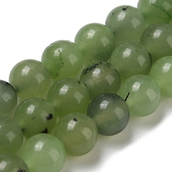 Olycraft 3 Strands Natural White Jade Beads Strands, Dyed, Imitation Prehnite, Round, Green, 8mm, Hole: 1.2mm, about 47pcs/strand, 14.57''(37cm)